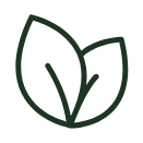 Vegan