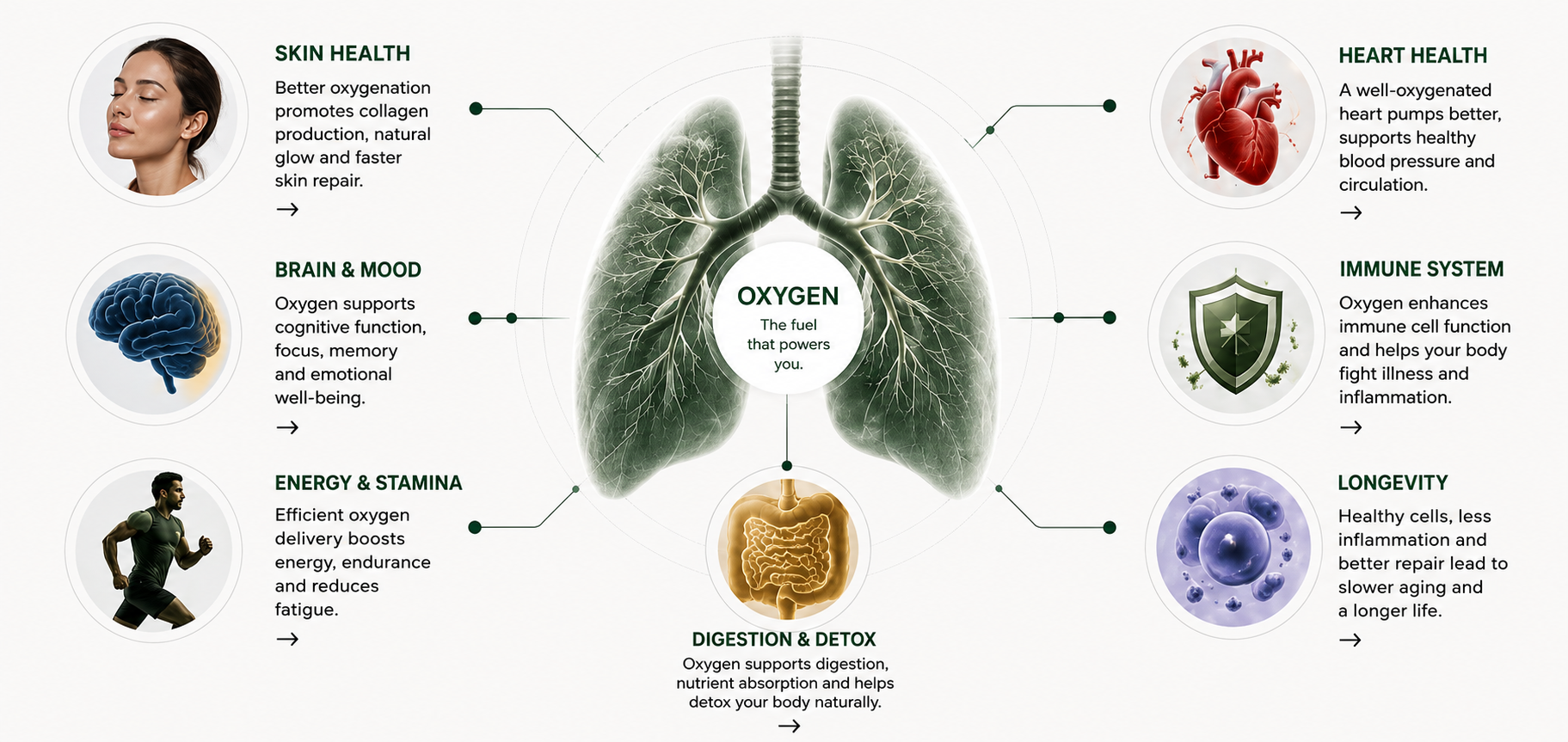 Lungs Diagram Core